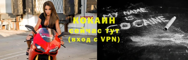 стаф Балахна