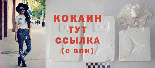 стаф Балахна