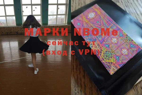 стаф Балахна