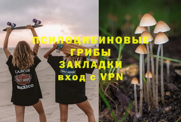 стаф Балахна