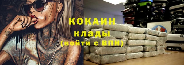 стаф Балахна