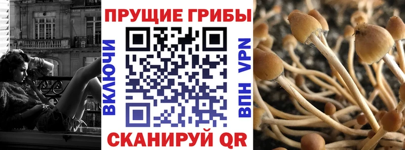 Галлюциногенные грибы мухоморы  Горнозаводск 